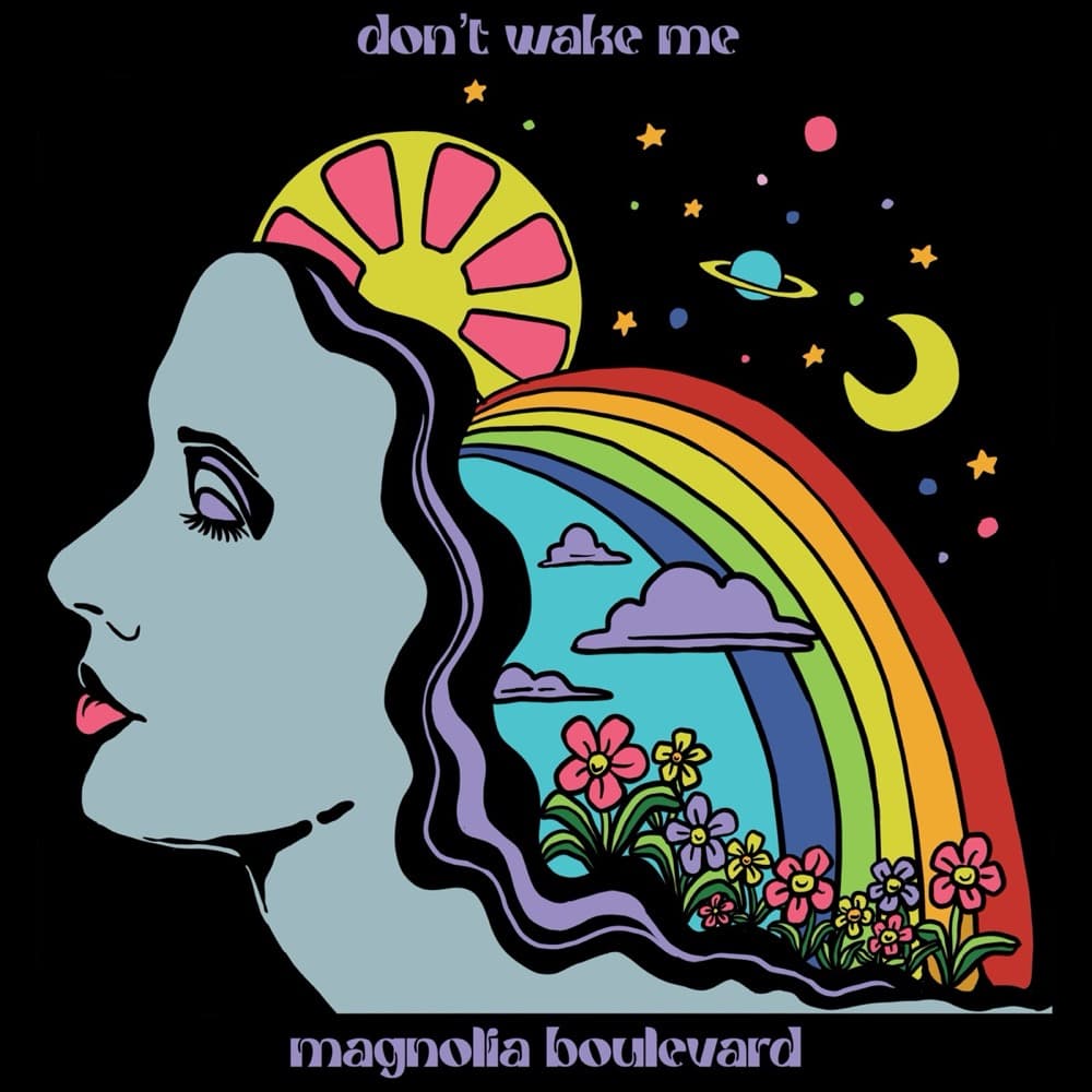 Don't Wake Me - Single album cover