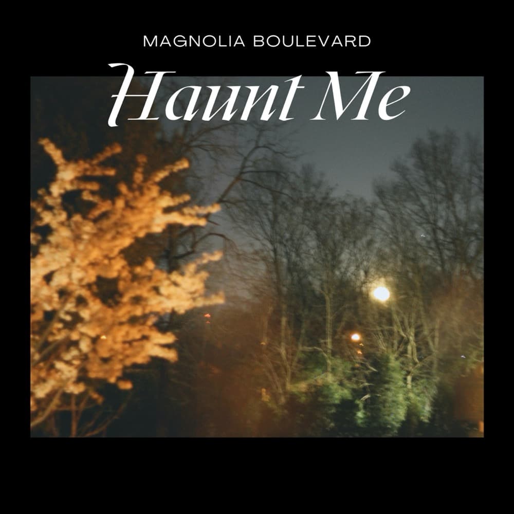 Haunt Me - Single album cover