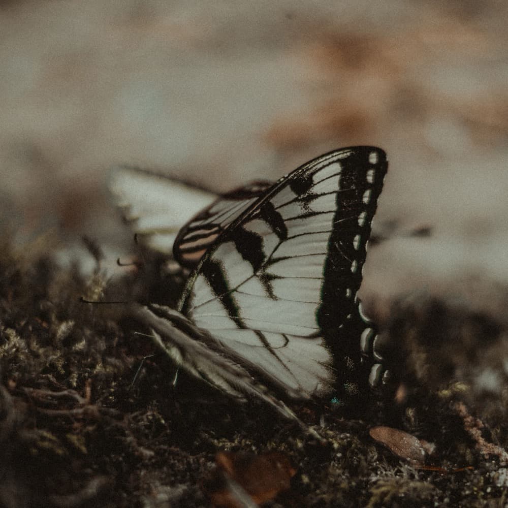 Things Are Gonna Change - Single album cover